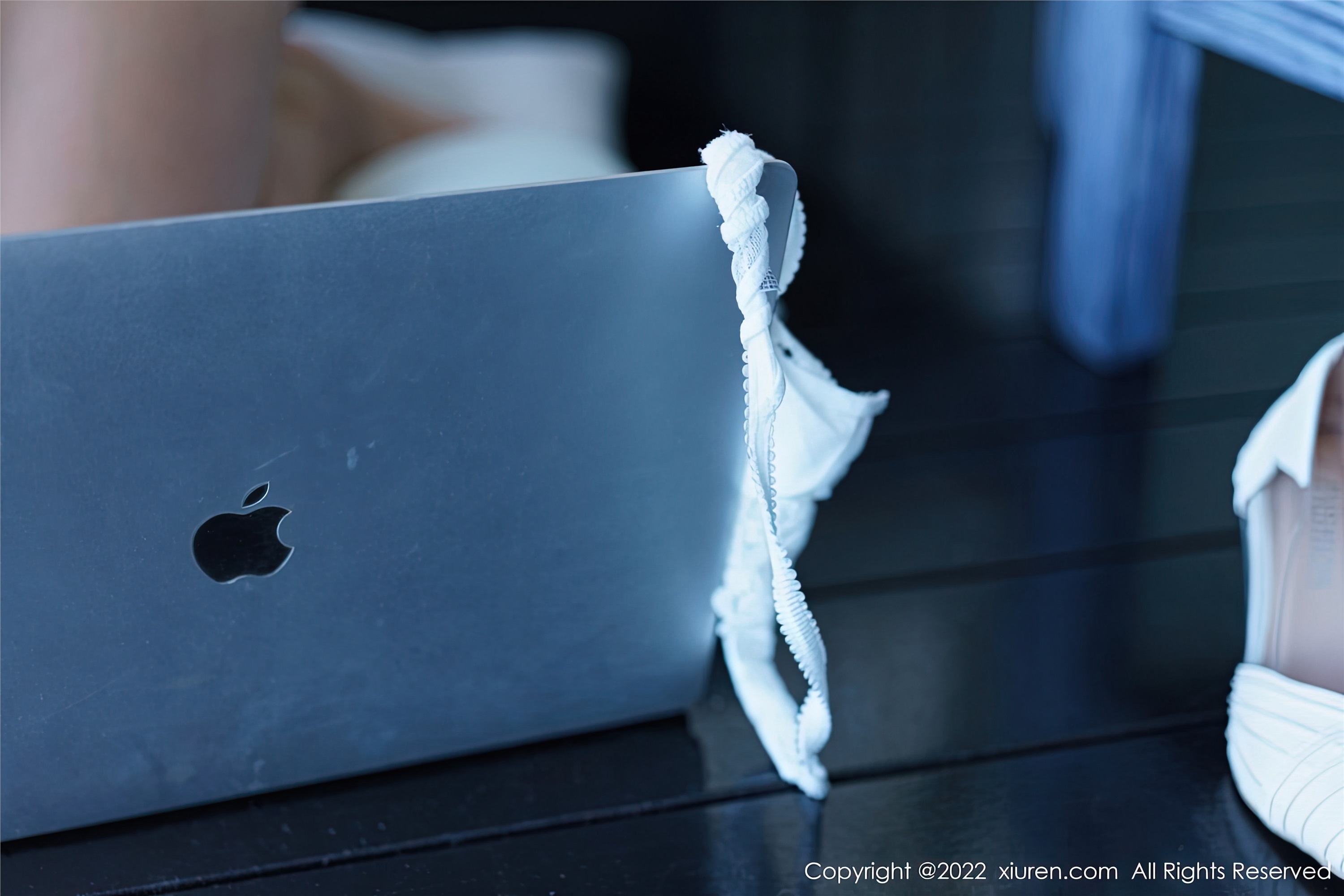 Xiuren秀人网 2022.12.22 NO.6032 laura阿姣